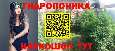бошки Малгобек