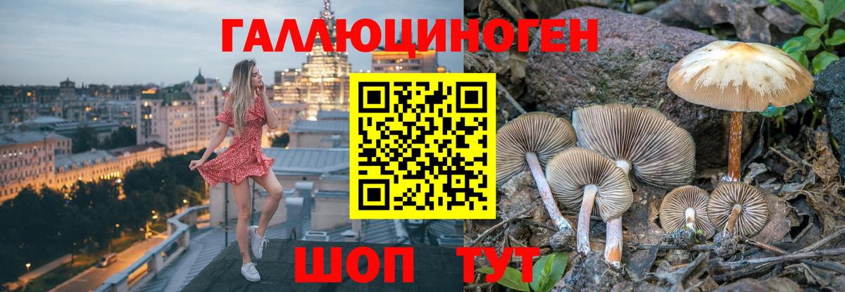 Алейск  Галлюциногенные грибы Magic Shrooms  Вход с VPN 