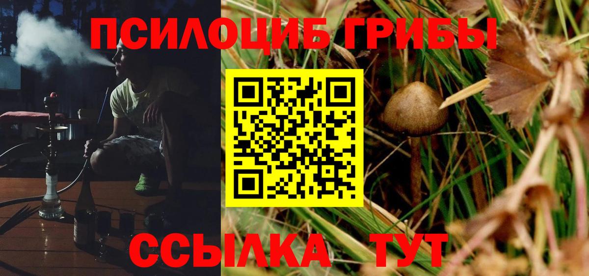 Псилоцибиновые грибы MAGIC MUSHROOMS Алейск